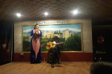 570 granada flamenco show